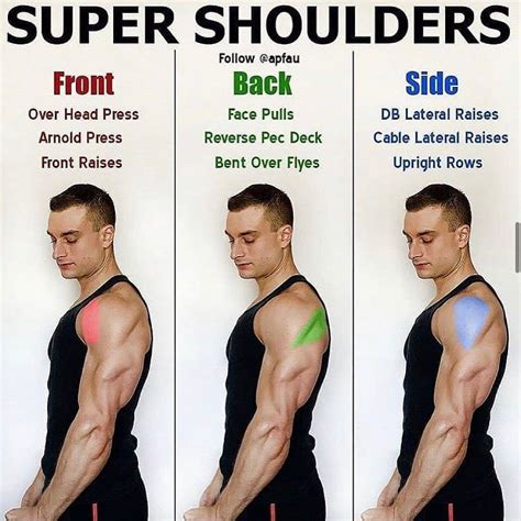 Best Shoulder Exercises For Maximum Growth