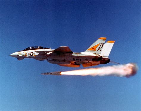 Complete Guide To F-14 Tomcat Combat Tactics