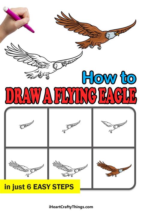 Step-By-Step Guide To Eagle Action Shots