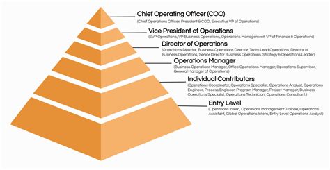 The Top 20 Operations Job Titles With Descriptions 2024